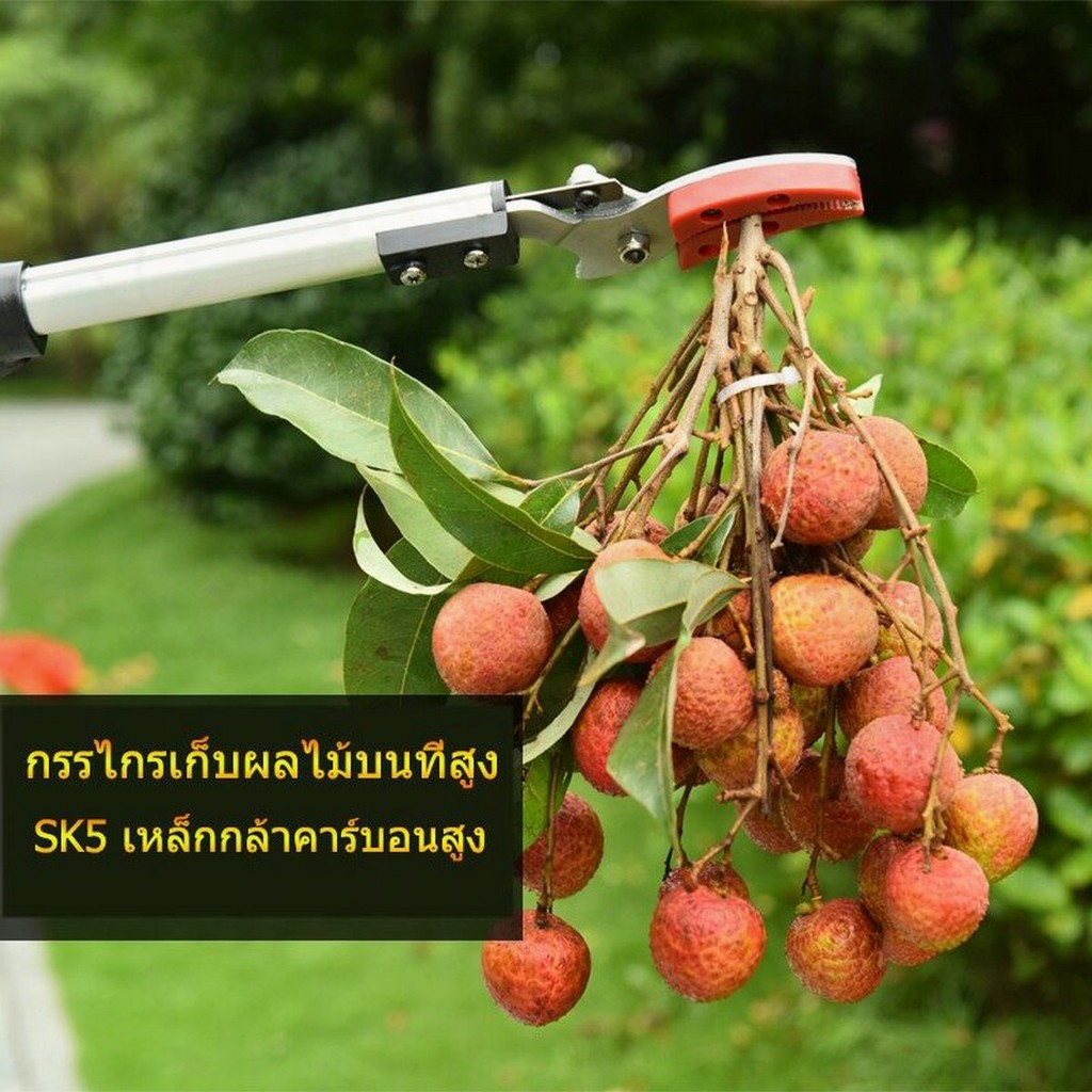 ดึงได้ 7 เมตร! SK5!กรรไกรตัดกิ่งไม้สูง กรรไกรตัดกิ่งไม้ใหญ่ เลื่อยตัดกิ่งไม้สูง กรรไกรตัดต้นไม้ กรรไ