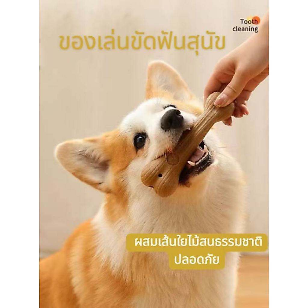 [ส่งจากกรุงเทพ]ของเล่นขัดฟันสุนัข ผสมไม้สนธรรมชาติ ทรงเขากวาง/กระดูก แข็งแรง ปลอดภัย สำหรับกัดแทะ