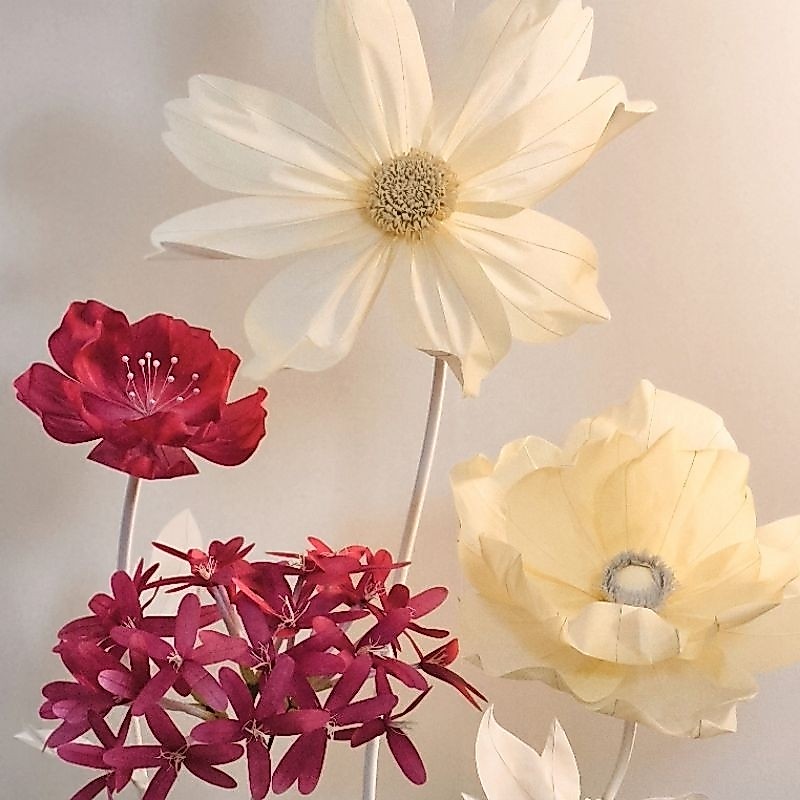 ดอกไม้ยักษ์ สีพิเศษ Maroon & Ivory