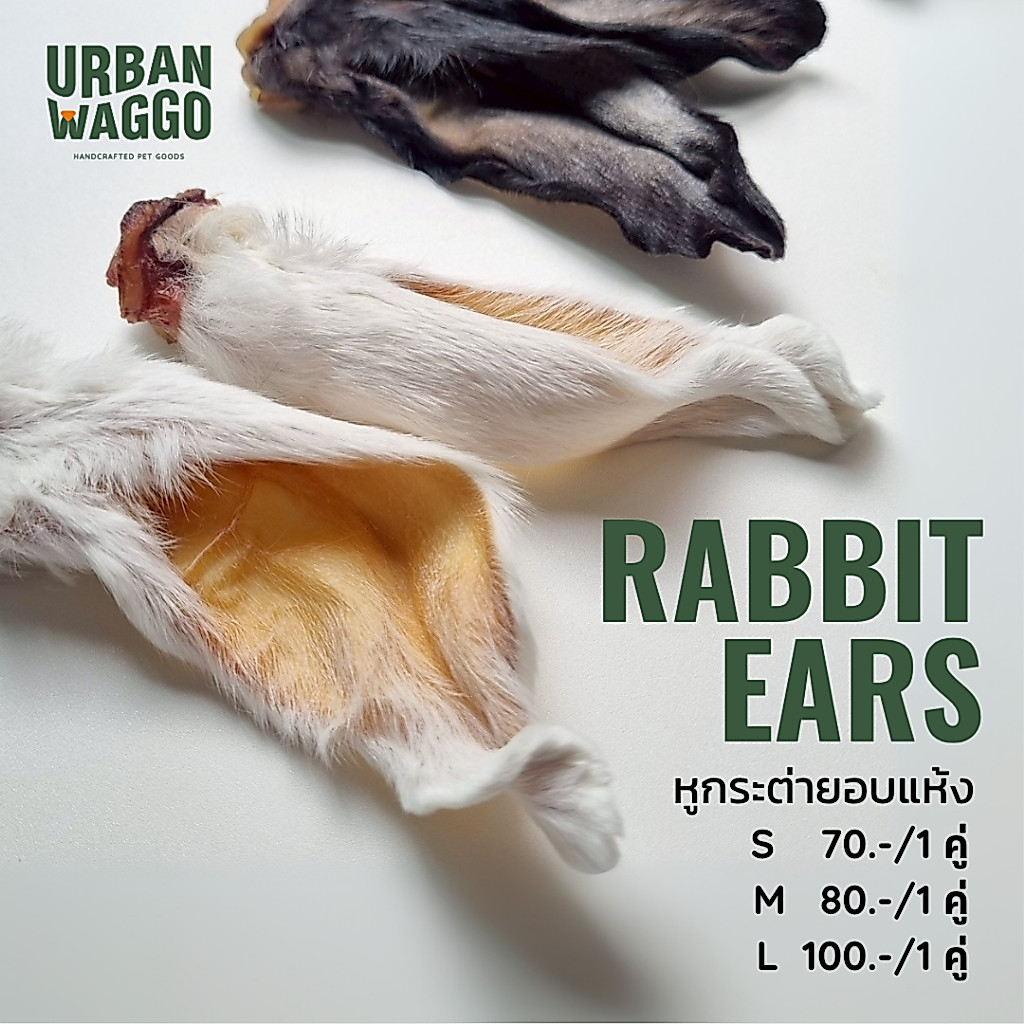 Rabbit Ears หูกระต่ายอบแห้ง ขนมแทะ ขนมขัดฟัน ขนมสุนัข ขนมน้องหมา Urban Waggo