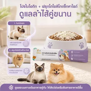 Ketzuzu 12/24 แพ็ค วิตามินแมว อาหารเสริมแมว ไลซีนโปรไบโอติกผง ช่วยเสริมภูมิและกินง่าย 14g