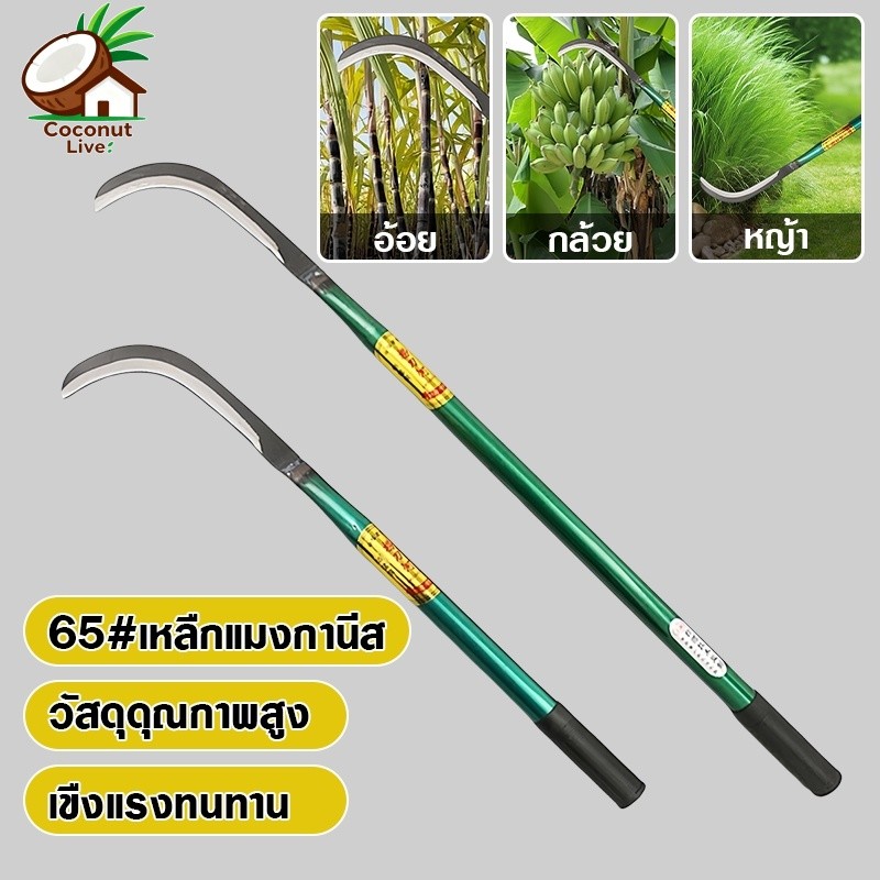 SK5 คมกริบ เหล็กแมงกานิส มีดพร้า มีดขอชัก มีดขอชักกล้วย ตัดแต่งใบกล้วย มีดตัดกล้วย มีดทำสวน มีดตัดแต่งกิ่งไม้ ด้ามยาว