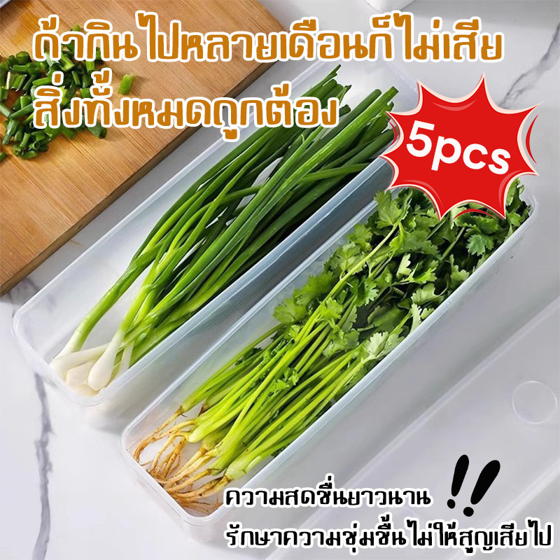 กล่องถนอมอาหาร กล่องเก็บอาหารในตู้เย็น ทำจากวัสดุ PP กล่องเก็บผักชี ต้นหอม คงความสดใหม่ของอาหาร