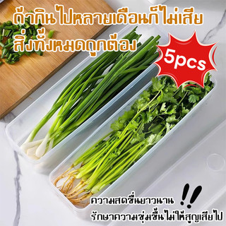 กล่องถนอมอาหาร กล่องเก็บอาหารในตู้เย็น ทำจากวัสดุ PP กล่องเก็บผักชี ต้นหอม คงความสดใหม่ของอาหาร