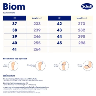 Scholl รุ่น Biom Bean Ladies II 3F-B377 รองเท้าสกอลล์ของแท้ รองเท้าสุขภาพ สวมใส่สบายและทนทาน