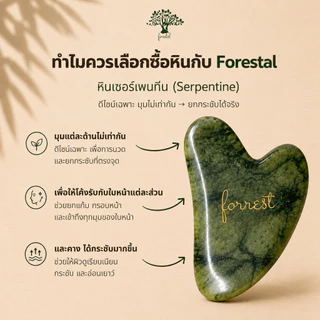 Forestal กัวซา หินเซอร์เพนทีน ยกกระชับ ลดบวม นวดหน้า Serpentine Gua Sha