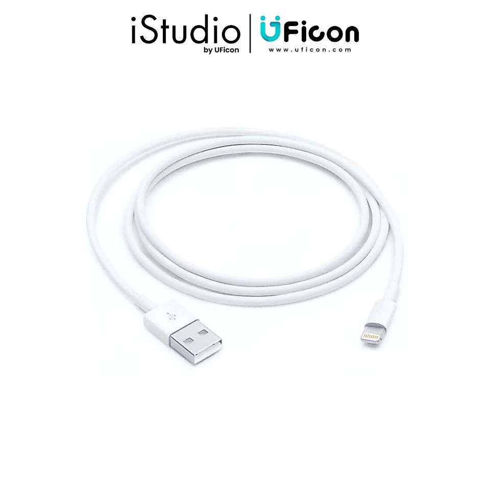 Apple Lightning To USB Cable [iStudio by UFicon]