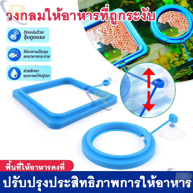 ⚡สต็อกไทย⚡วงแหวนให้อาหารปลาลอยน้ำ ป้องกันอาหารกระจาย ปรับระดับน้ำอัตโนมัติ พร้อมที่ดูดติดตู้ กันอาหารไหลเข้าตัวกรอง
