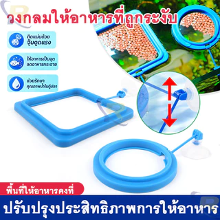 ⚡สต็อกไทย⚡วงแหวนให้อาหารปลาลอยน้ำ ป้องกันอาหารกระจาย ปรับระดับน้ำอัตโนมัติ พร้อมที่ดูดติดตู้ กันอาหารไหลเข้าตัวกรอง