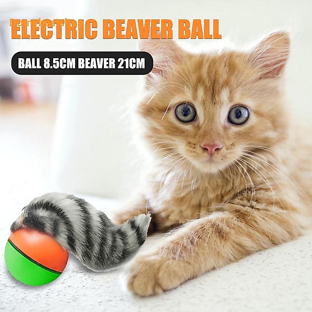 Weasel Rolling Ball Chasing ของเล่นเคี้ยวฟันบดของเล่น Claws Bite SN9F [Domybestshop.th]