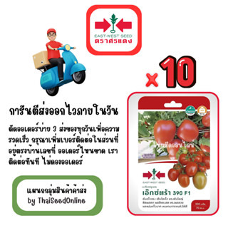 GG x 10 เมล็ดผักซองศรแดง เอ็กซ์ตร้า 390 มะเขือเทศ ลูกท้อ สิน…