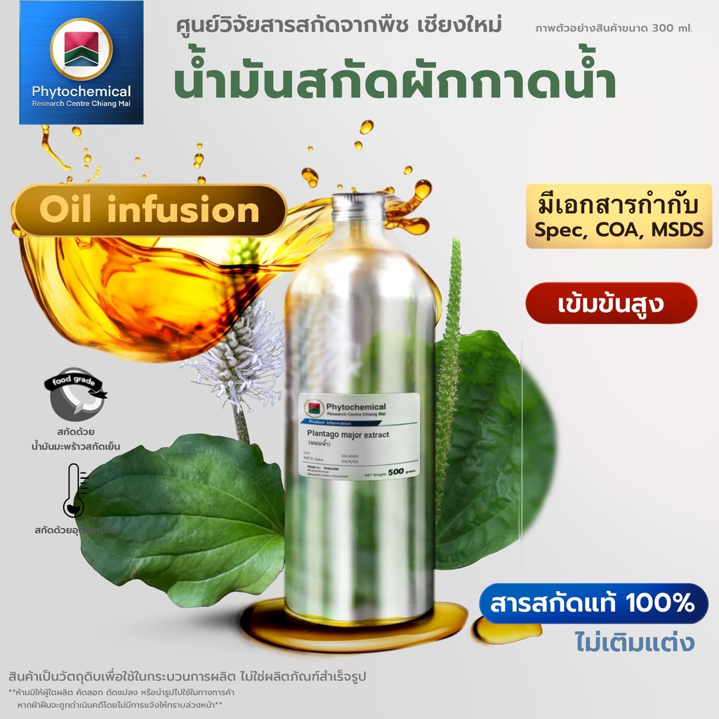น้ำมันผักกาดน้ำ(หญ้าเอ็นยึด)(Oil infusion)Plantain extract | สารสกัดจากพืช สารสกัดสมุนไพร 100% | เข้มข้นสูง 25-100ml.