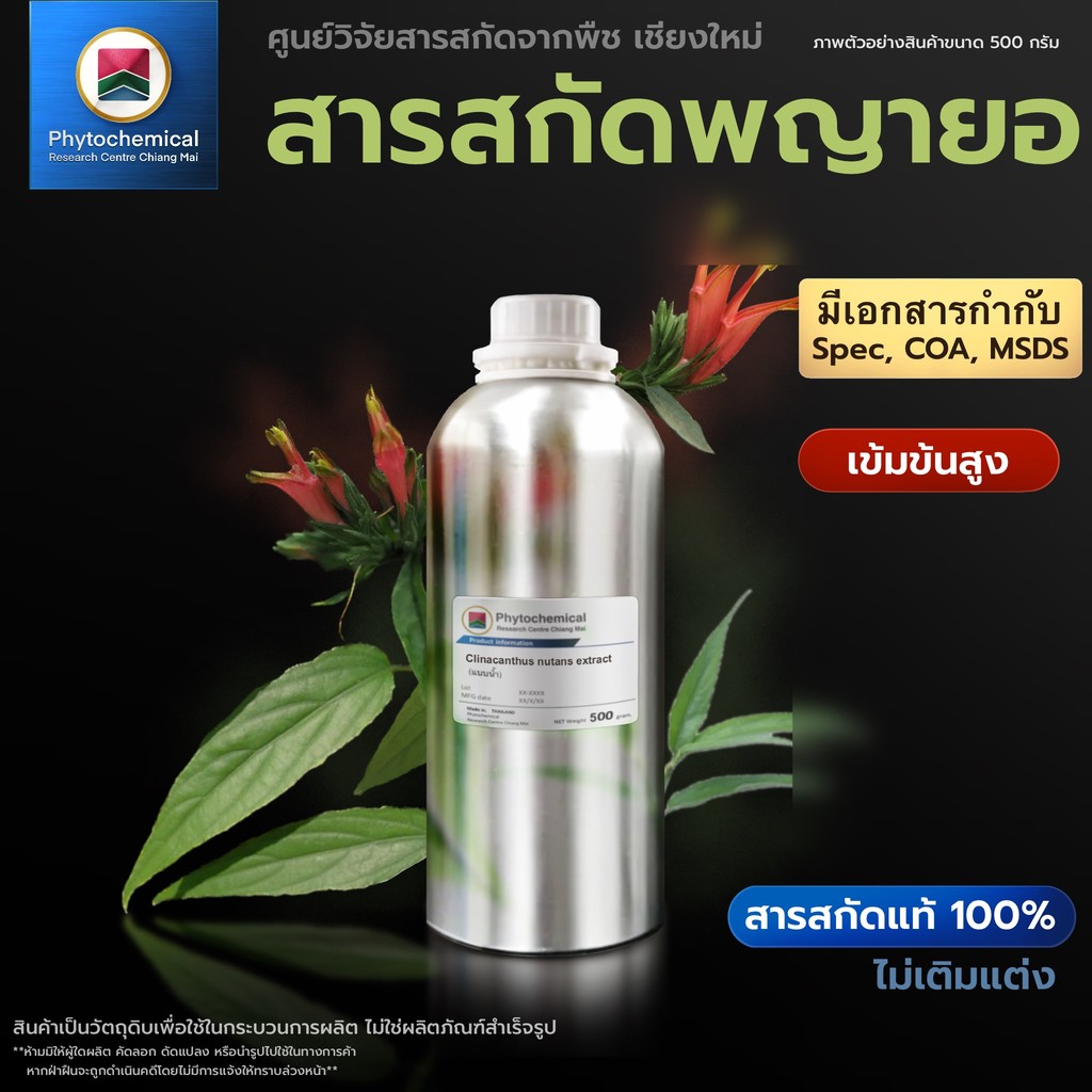 (ราคาส่ง) สารสกัดพญายอ(แบบน้ำ) Phaya Yor extract | 0.5-20 kg.