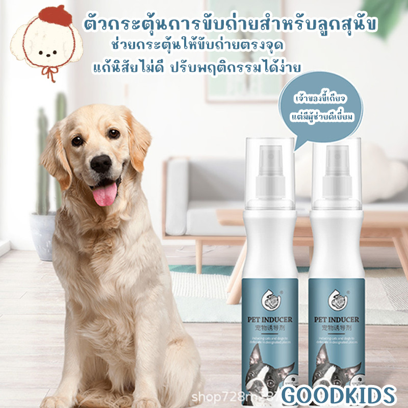 น้ำยาช่วยฝึกขับถ่ายสุนัข กระตุ้นให้ถ่ายในที่กำหนด สำหรับสุนัขฉี่อุจจาระ ฝึกหัดใช้ห้องน้ำสัตว์เลี้ยง