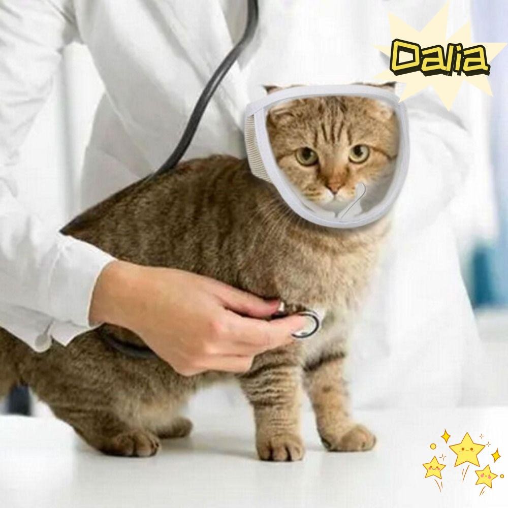 DALIA Kitten Muzzles โปร่งใสปรับ Anti Bite Mouth Guard