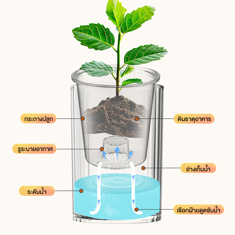 กระถางดอกไม้ไฮโดรโปนิกส์ ดอกไม้หม้ออัตโนมัติ แฟชั่นสมัยใหม่ กระถางดอกไม้ตั้งโต๊ะ ง่ายต่อการบำรุงรักษา - รูปที่ 5