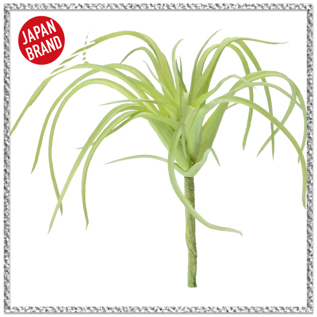 Fake Greenery 【MAGIQ】ตกแต่งปลอมจากญี่ปุ่น สไตล์เออร์ปรานท์สีเขียว ขนาด L11×W11ซม. เพิ่มเสน่ห์ให้บ้าน