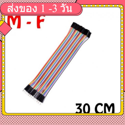 สายแพ (30cm) 40 pin to 40 pin (Female-Male) สาย (2.54mm)