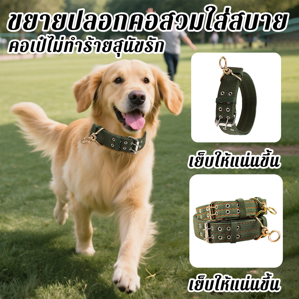 ปลอกคอสุนัขพันธุ์ใหญ่ ปลอกคอสุนัขไนล่อนแบบทนทานสามารถปรับได้ ปลอกคอสุนัข