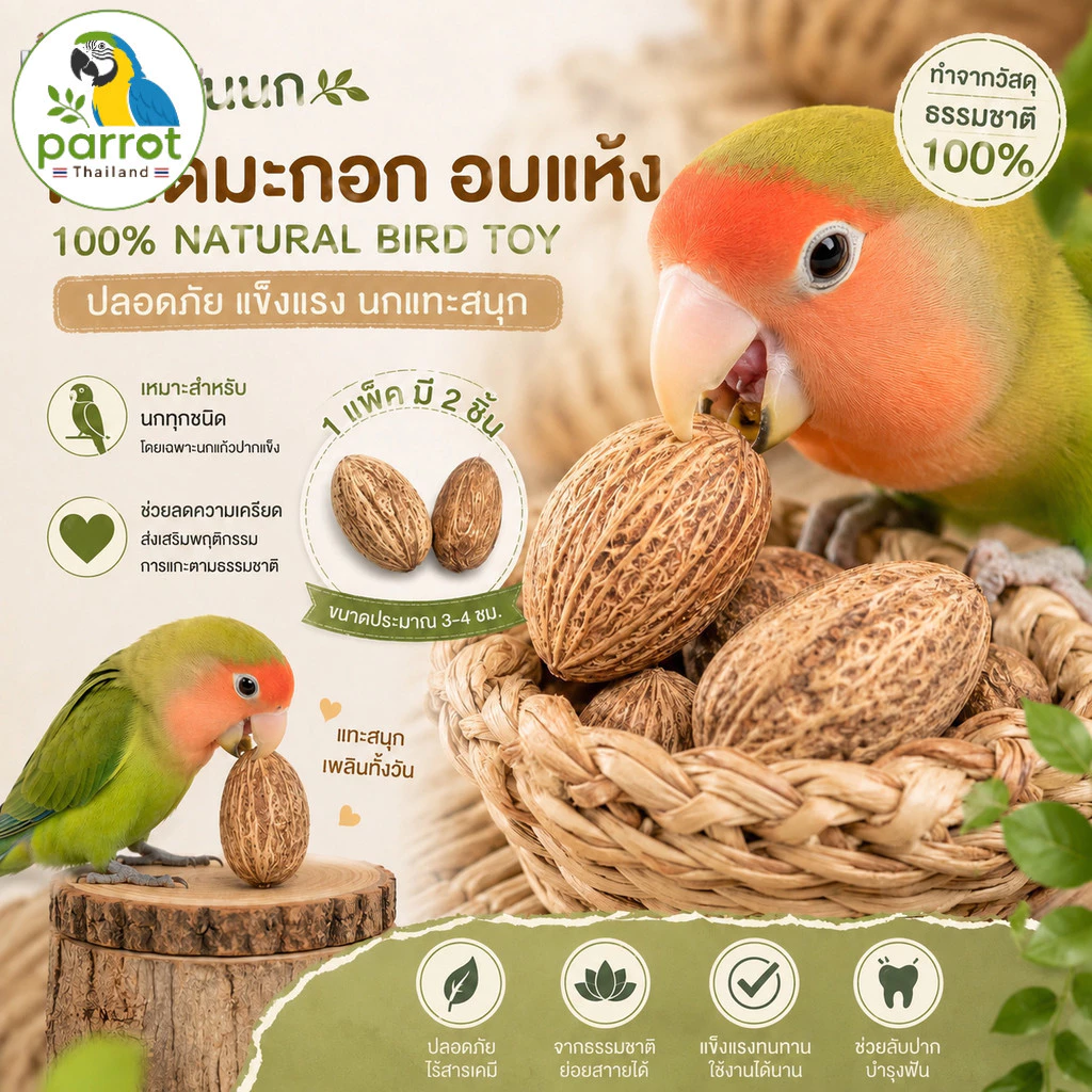 Parrot.thailand ของเล่นนกแก้ว ลูกมะกอกแทะธรรมชาติ ลับสมอง ลับปาก บำรุงฟัน ลดความเครียด นกแทะสนุกปลอดภัย 100%