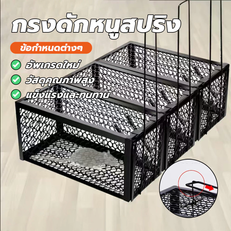 กับดักหนูสปริงคู่หนา กรงดักหนูพร้อมกรอบ กรงดักหนู นำกลับมาใช้ใหม่ได้ รับน้ำหนักได้ดี แรงกัดที่เพิ่มขึ้น ปิดเร็ว