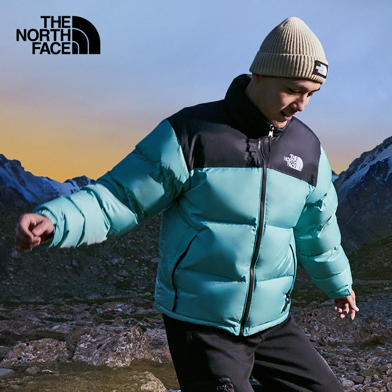 The NorthFace 1996Nuptse Down Jacket Street Wear Classic ICON New Velvet 3C8D