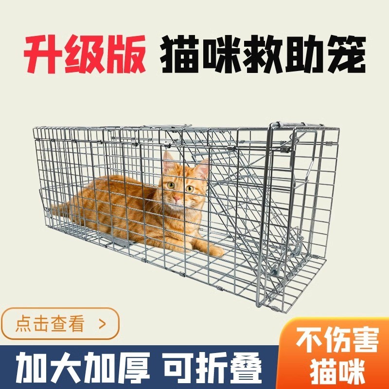 10แมวแมวจับเครื่องมือที่มีประโยชน์แมวแมวจับกรงแมวแมวจับเครื่องมือแมวแมวแมวแมวแมวจับเครื่องมือที่มีประโยชน์ป่าแมวอัตโนมัติแมวจับเครื่องมือโทฟ