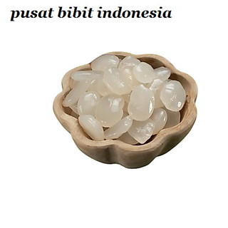 kolang Kaling/caruluk Fresh 1kg