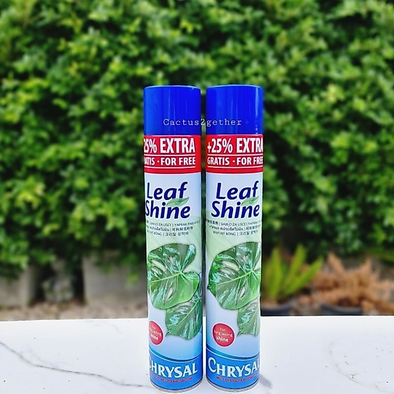 สเปรย์ฉีดใบเงา Leaf Shine ยอดฮิตราคาพิเศษ