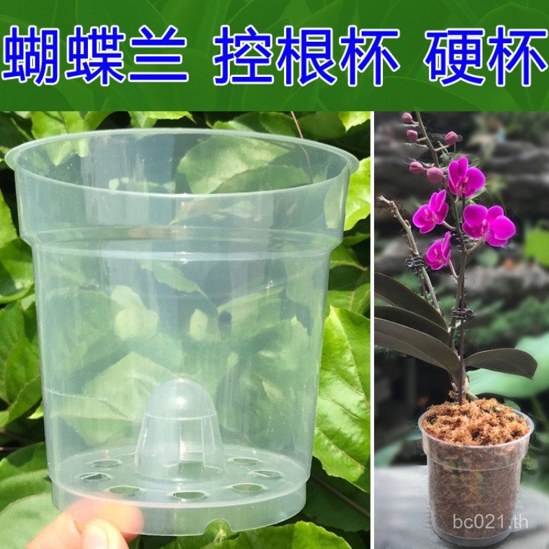 Phalaenopsis Nutrition Cup Dendrobium พลาสติกโปร่งใส Breathable กระถางดอกไม้ Root Control ระบายน้ํา 