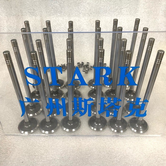 Yunnei D19 D19TCIE2 D19TCID1 วาล์วเครื่องยนต์ทางเข้าวาล์วไอเสีย