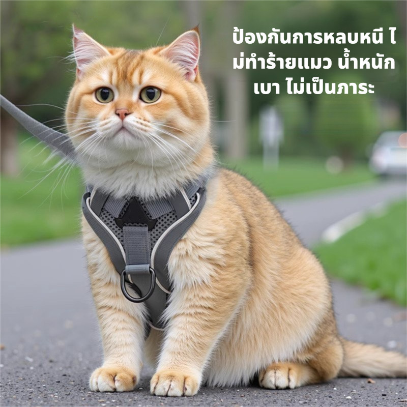 ชุดสายรัดและสายจูงแมวสําหรับแมวขนาดเล็กขนาดใหญ่ปรับสายรัดเสื้อกั๊กแมวตัดสะท้อนแสงสายจูงและสายรัดแมวสากล