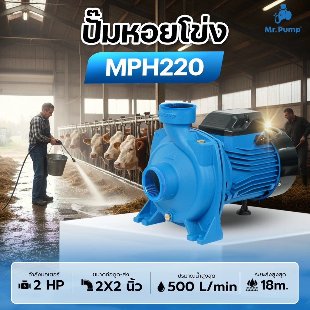 MR.PUMP ปั๊มหอยโข่ง รุ่น MM-WP-MPH220 2 แรงม้า ท่อ 2 นิ้ว