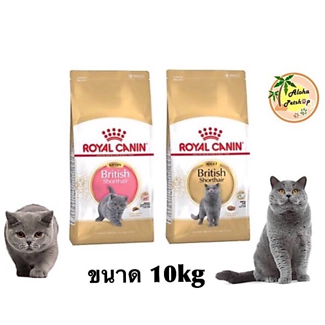 ของแท้ Royal canin British Shorthair 10kg ❤️😺โรยัล คานิน บริติช ชอร์ทแฮร์ บรรจุ 10kg