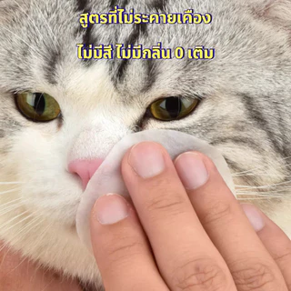 AimayaPet ทำความสะอาดสัตว์เลี้ยง ทิชชู่เปียกเช็ด สูตรสกัดว่านหางจระเข้ ปลอดภัยไม่ระคายเคือง 120แผ่น