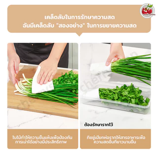กล่องถนอมอาหาร กล่องเก็บของใส กล่องเก็บอาหารในตู้เย็นทำจากวัสดุ PP กล่องเก็บของอเนกประสงค์ ครัว