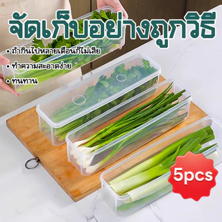 【AR】กล่องเก็บของนำเข้า กล่องเก็บผักชีและต้นหอม สามารถเก็บผักชีและต้นหอมให้สด ป้องกันฝุ่นและความชื้น เกรดอาหาร