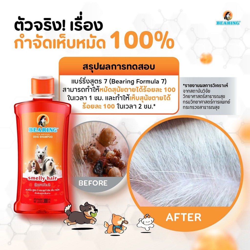BEARING Tick & Flea Dog Shampoo แชมพูกำจัดเห็บหมัด 300ml. รูปที่ 3