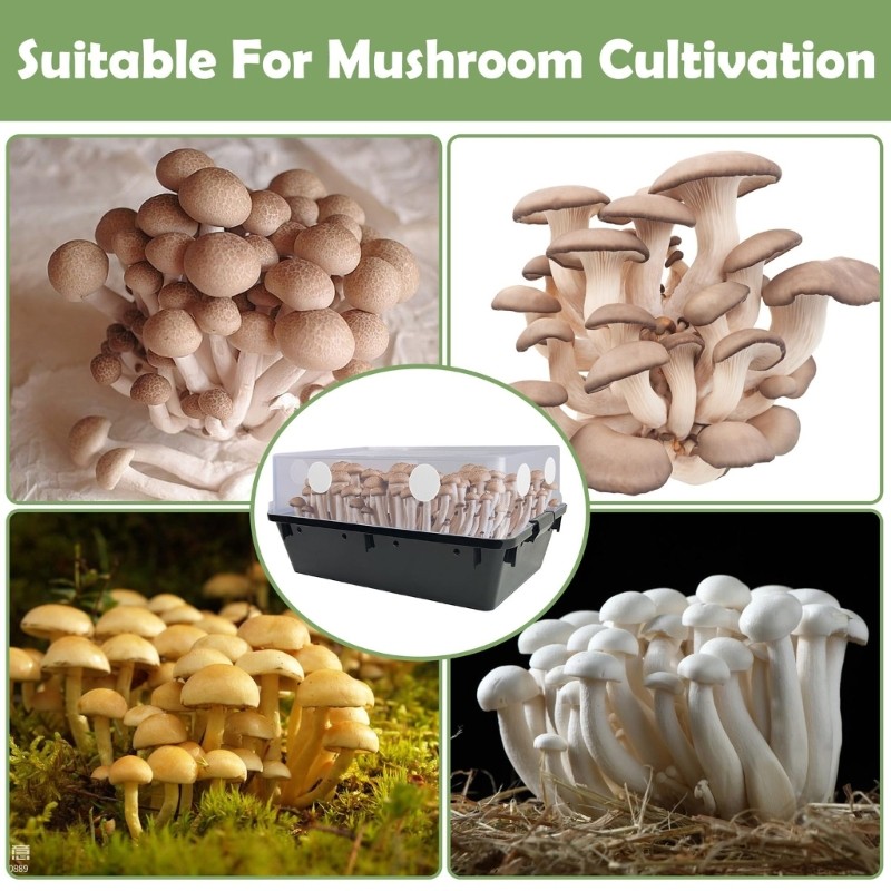 RUN 24PCS แผ่นระบายอากาศผ้าฝ้ายกรองเห็ด Monotub กาว Airflow Filters