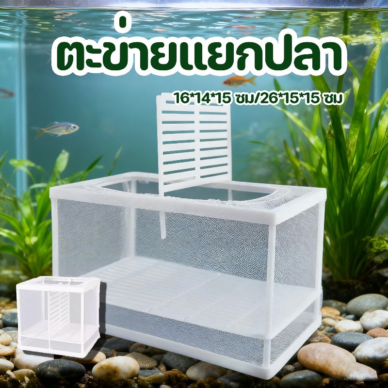 กล่องฟักไข่ ตะข่ายแยกปลา  แยกฟักไข่ กล่องตาข่ายแยกปลาลูกปลา สำหรับเพาะพันธุ์ตู้ปลา พื้นที่สองชั้น