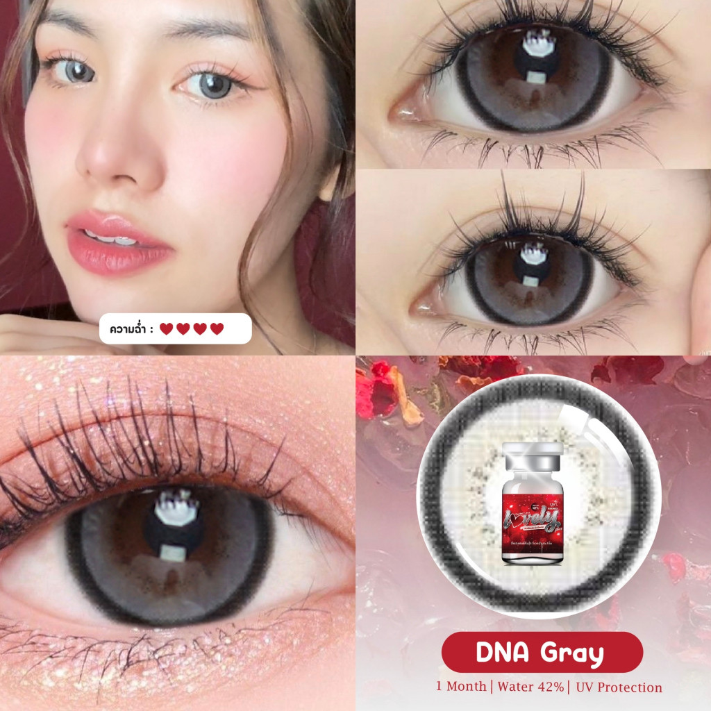 คอนแทคเลนส์ Dna✨ขนาดบิ๊กอาย✨ Gray/ Brown  (Lovelylens)