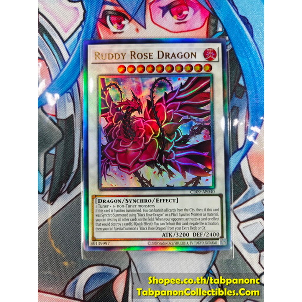 CR09-AE040 Ruddy Rose Dragon - UL