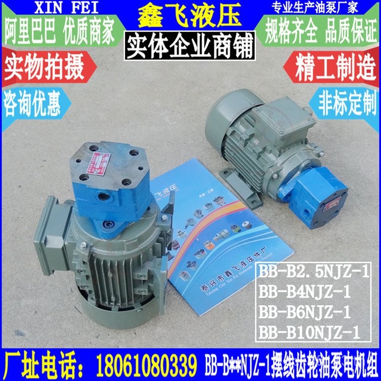 ปั๊มน้ํามัน B10NJZ ชุดเกียร์ In-Line Assembly B6NJZ มอเตอร์ B2.5 NJZBB-B4NJZ-1 Swing E2FS