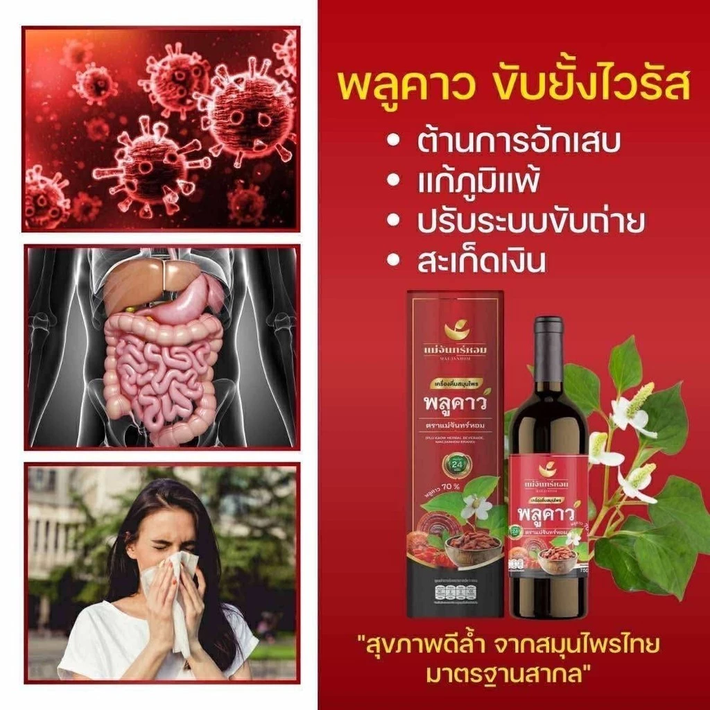 สมุนไพรพลูคาว แม่จันทร์หอม สารสกัดพลูคาว 70% เครื่องดื่มสมุนไพร thumbnail 8