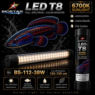 หลอดไฟใต้น้ำT8 BIOSTAR LED T8 6700K SUNLIGHT เปลี่ยนตู้ปลาธรรมดา ให้สวยโดดเด่นในทันที! ขนาด BS-26/36/52/72/92