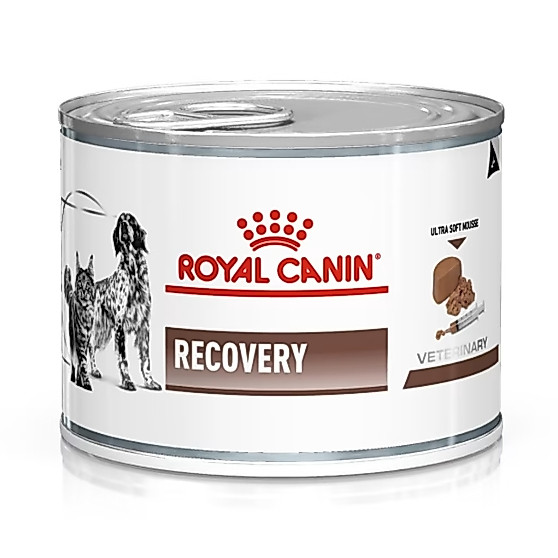 ยกถาด 12 กระป๋อง Royal Canin Recovery 195g. อาหารสำหรับสุนัขและแมว ป่วย พักฟื้น หลังผ่าตัด