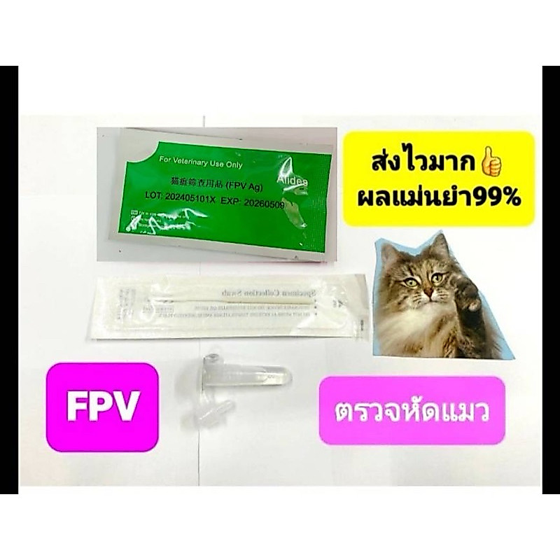 ชุดตรวจหัดแมวแม่นยํารู้ผลใน5นาทีจัดส่งทุกวันfpv