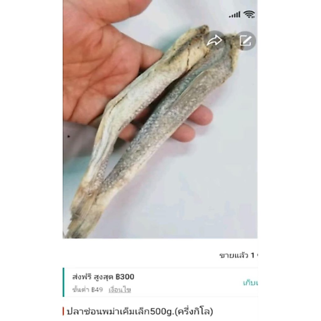 ปลาช่อนพม่าเค็มเล็ก500g.(ครึ่งกิโล