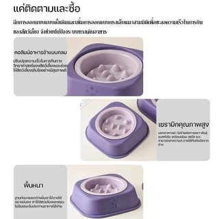 ชามเซรามิกสัตว์เลี้ยง ชามอาหารช้า การให้อาหารและดื่ม 2 ใน 1 ป้องกันสำลัก ป้องกันสำลัก หลากหลายสี