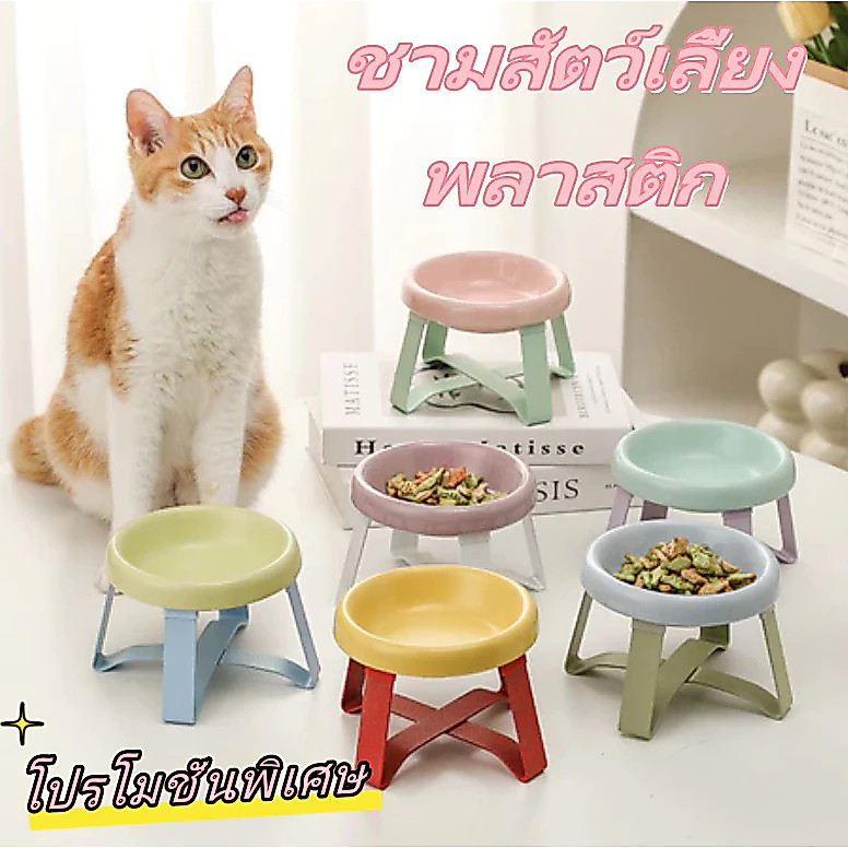 Novvia ชามใส่อาหารสัตว์พร้อมขาตั้ง ช่วยป้องกันกระดูกสันหลัง ชามอาหารสัตว์ทรงสูง